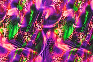 Animal Print (Fuchsia/Neon Green/Purple/Multi)