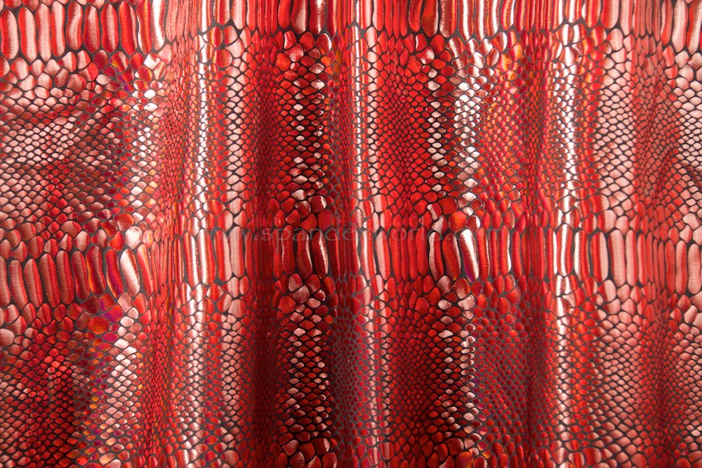 Reflective Snake Print Hologram (Black/Red)