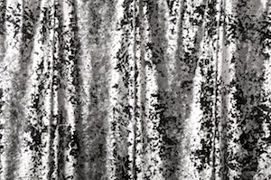 Foil Pattern on Stretch Crushed Velvet (Black/Silver)
