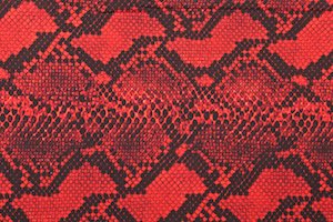 Snake Prints (Red/Black)