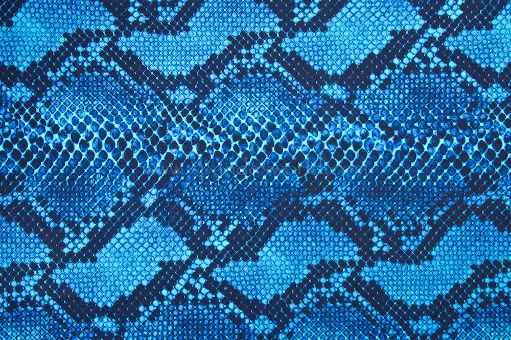 Snake Prints (Blue/Black)