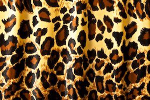 Leopard  Pattern velvet (Black/Beige/Brown)