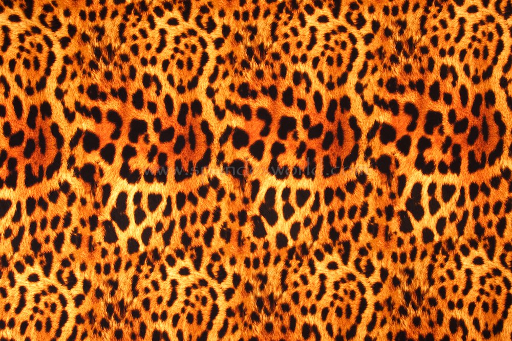 Animal Print (Brown/Gold/Black)