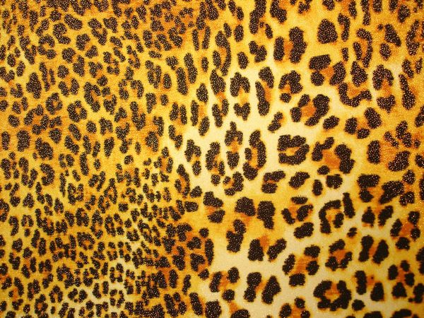 Animal Print Hologram (Black, Brown Combo)