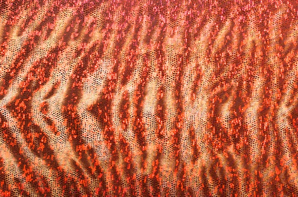Animal Print Holograms (Burgundy/Red)