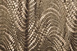 Novelty Spandex (Black/Gold)