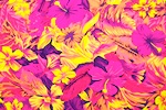 Floral Prints (Coral/Purple/Multi)