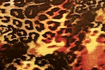 Animal Prints (Brown/Multi)
