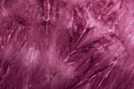 Tie dye spandex (Merlot/Multi)