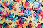 Pattern/Abstract hologram (Blue/Pink/Purple/Multi)
